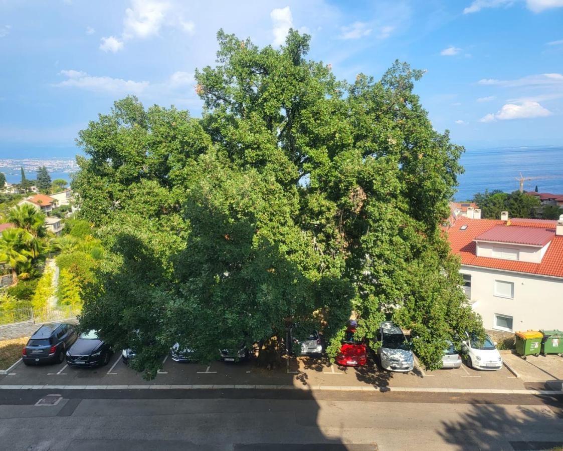 Apartment With Direct Sea View, Free Parking And Close To Beaches And Promenade Lovran Zewnętrze zdjęcie